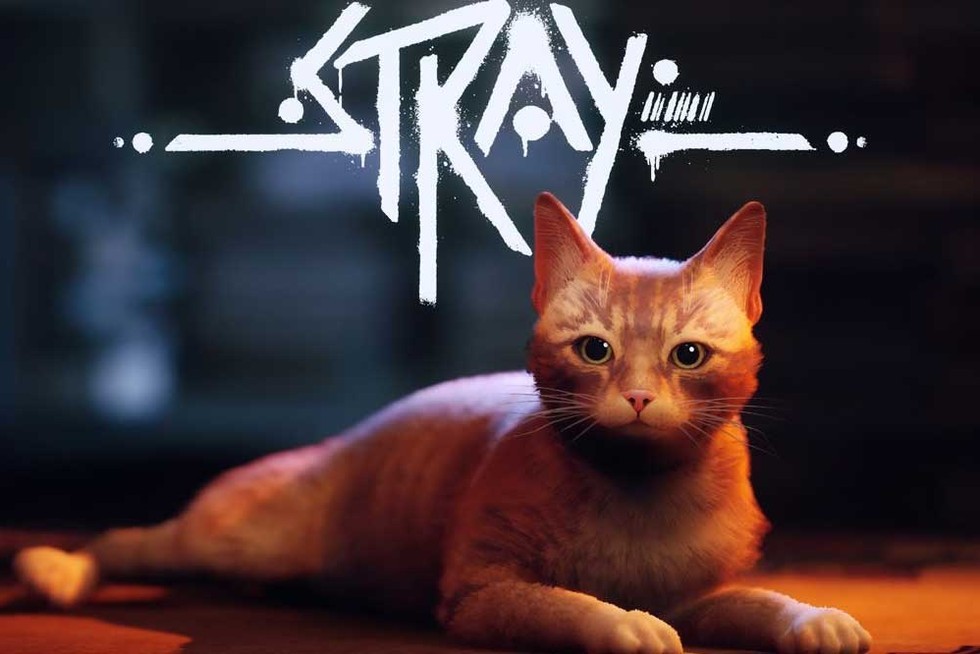 مراجعة لعبة Stray